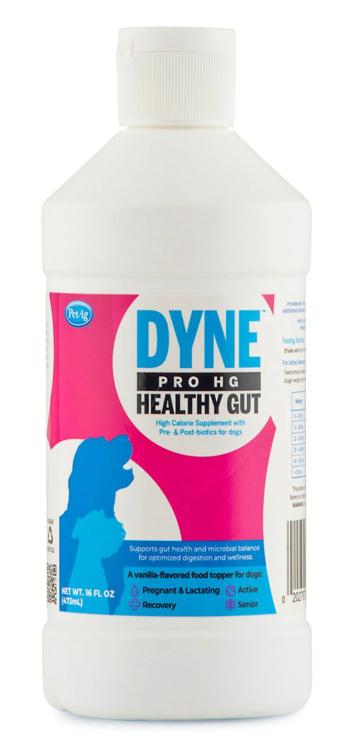 Dyne PRO HG Healthy Gut for Dogs - Pet's Shop