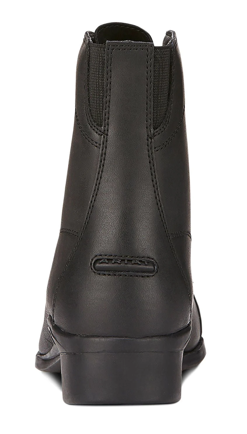 Ariat Women's Scout Paddock Boot, Black - Pet's Shop