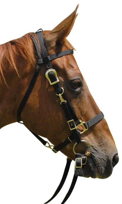 Nylon Combination Horse Halter Bridle with Reins - Pet's Shop