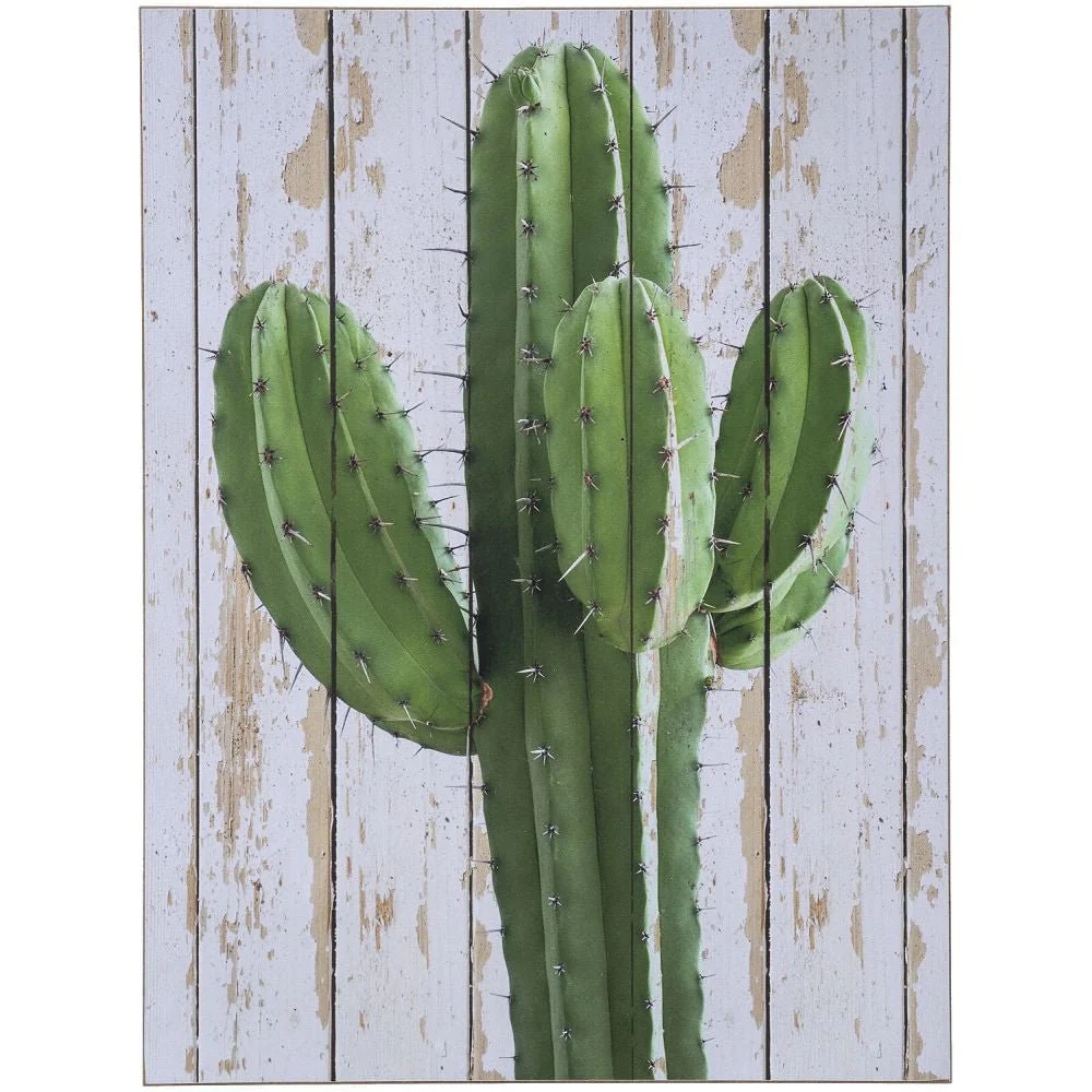 Hanging Cactus Wall Art - Pet's Shop