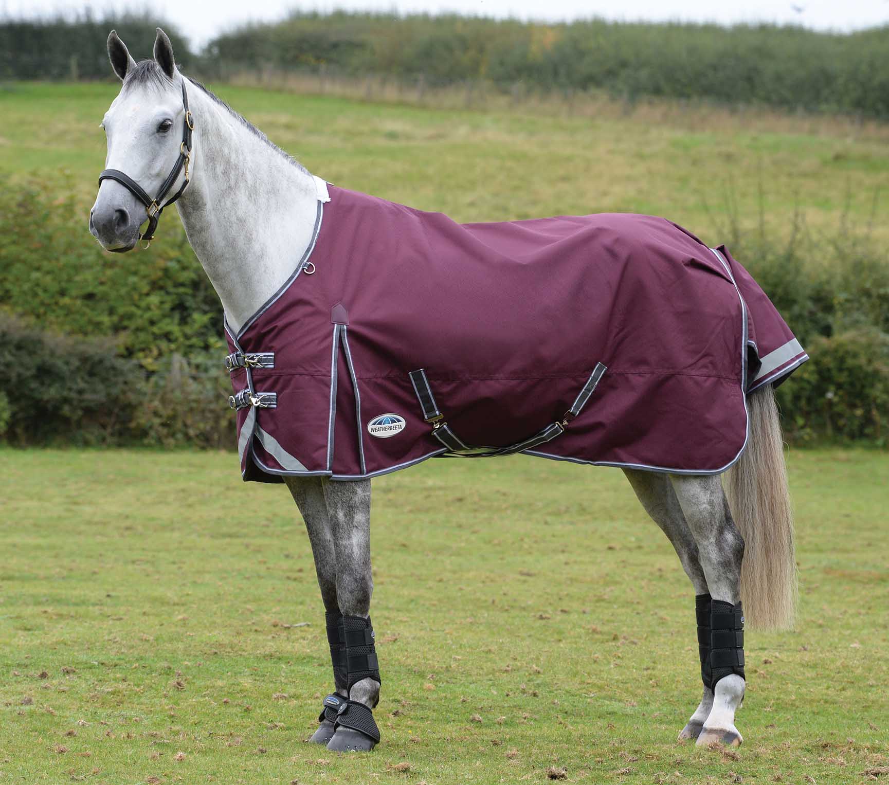 ComFITec Plus Dynamic II Standard Neck Medium Horse Blanket - Pet's Shop