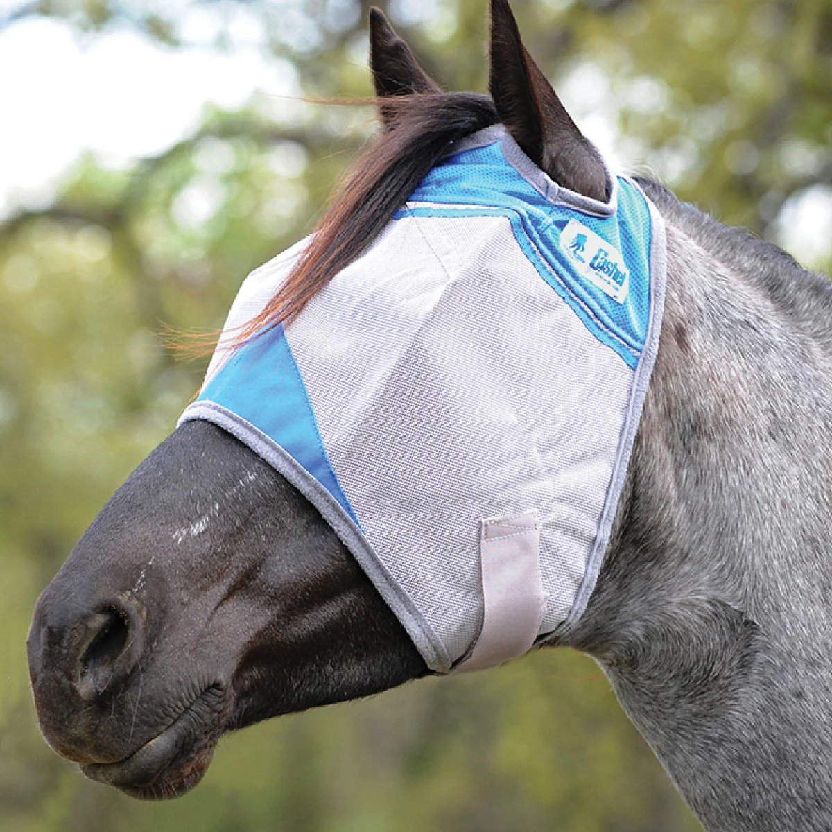 Crusader Fly Mask - Pet's Shop