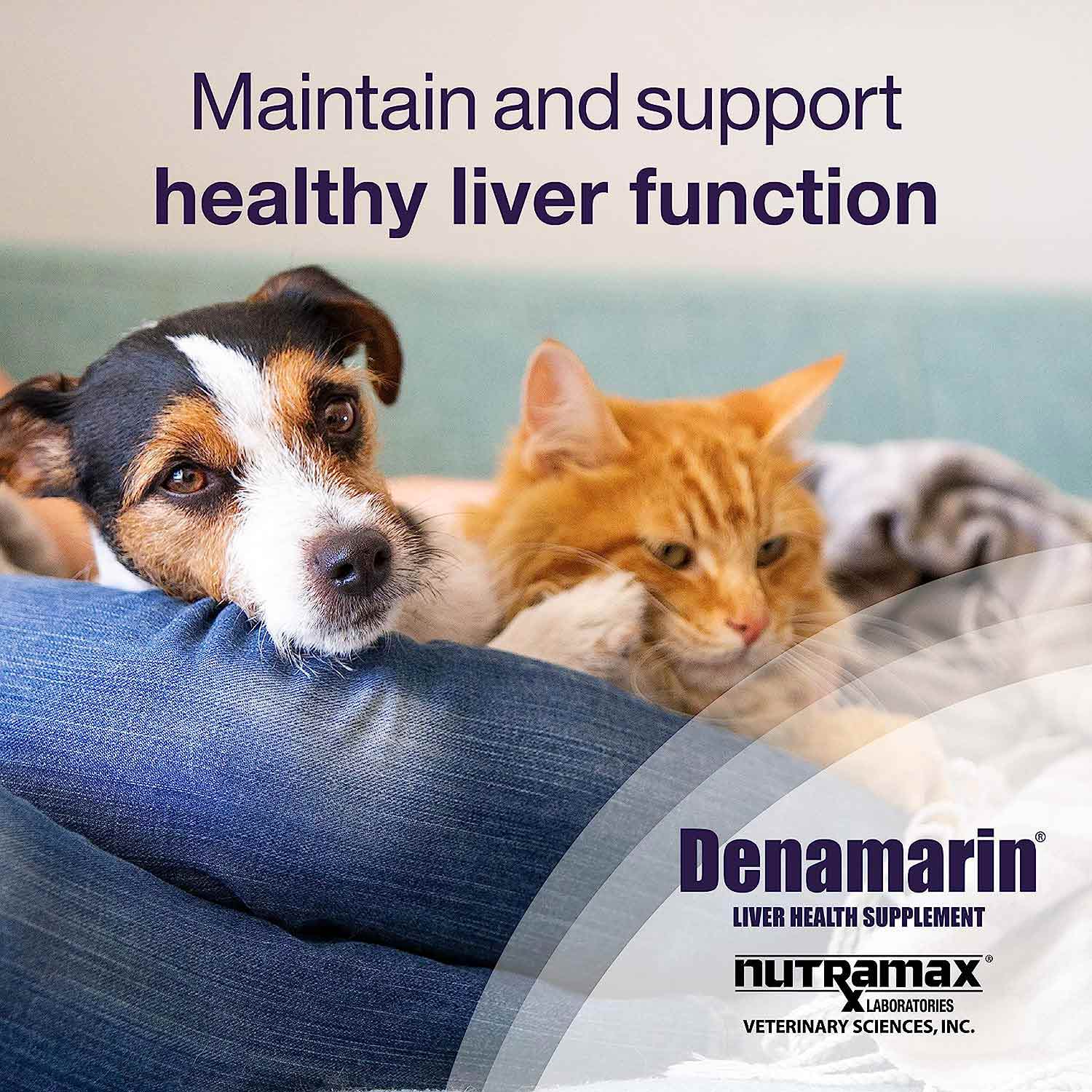 Nutramax Denamarin Liver Health Tablets for Dogs and Cats - Pet's Shop