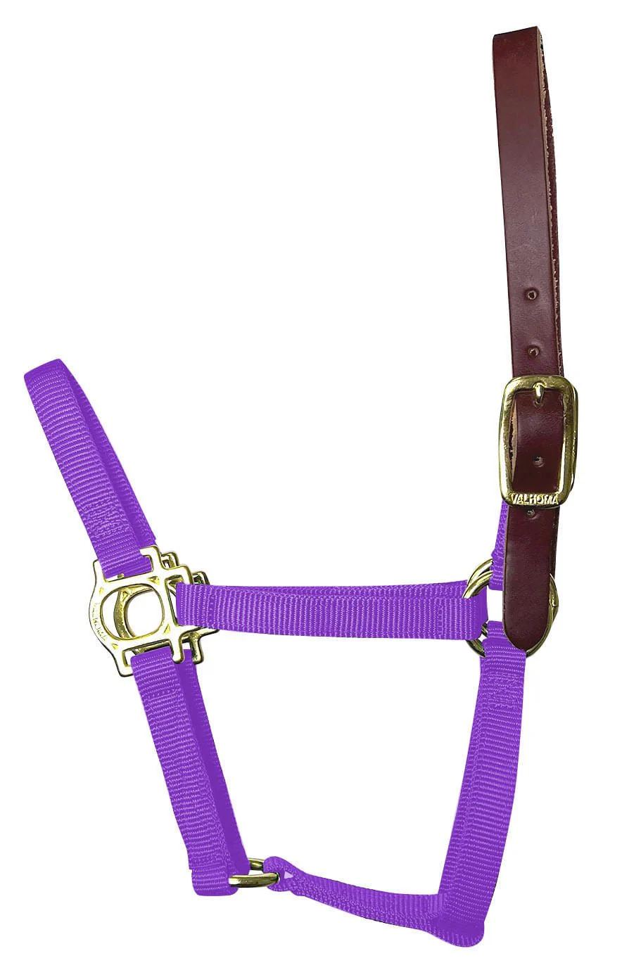 Valhoma Foal & Yearling Premium Breakaway Nylon Halter with Leather Crown - Pet's Shop