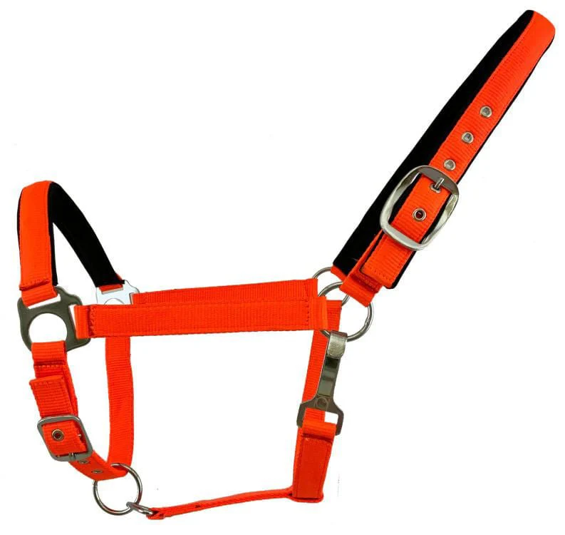 Showman Fluorescent Halters, Full - Pet's Shop