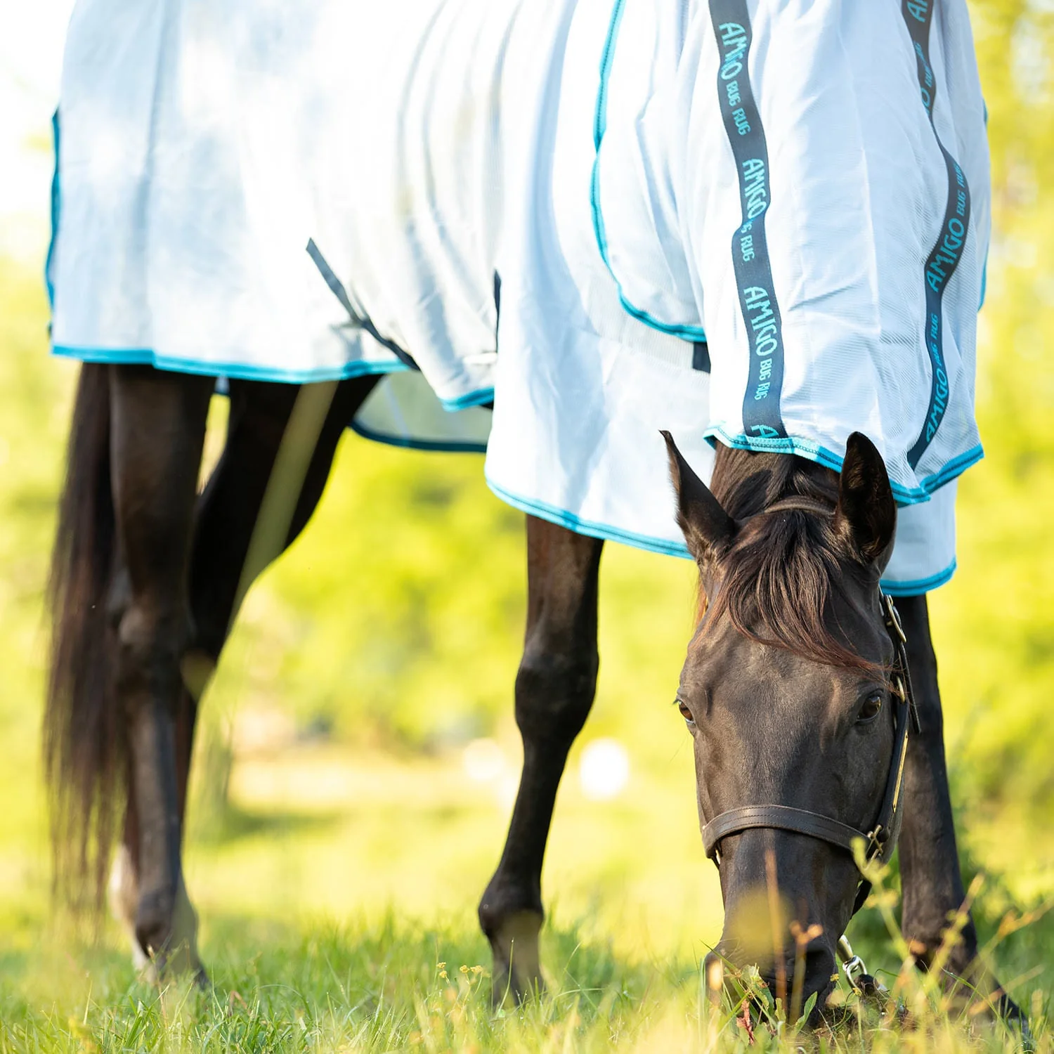 Amigo Bug Rug Horse Fly Sheet - Pet's Shop