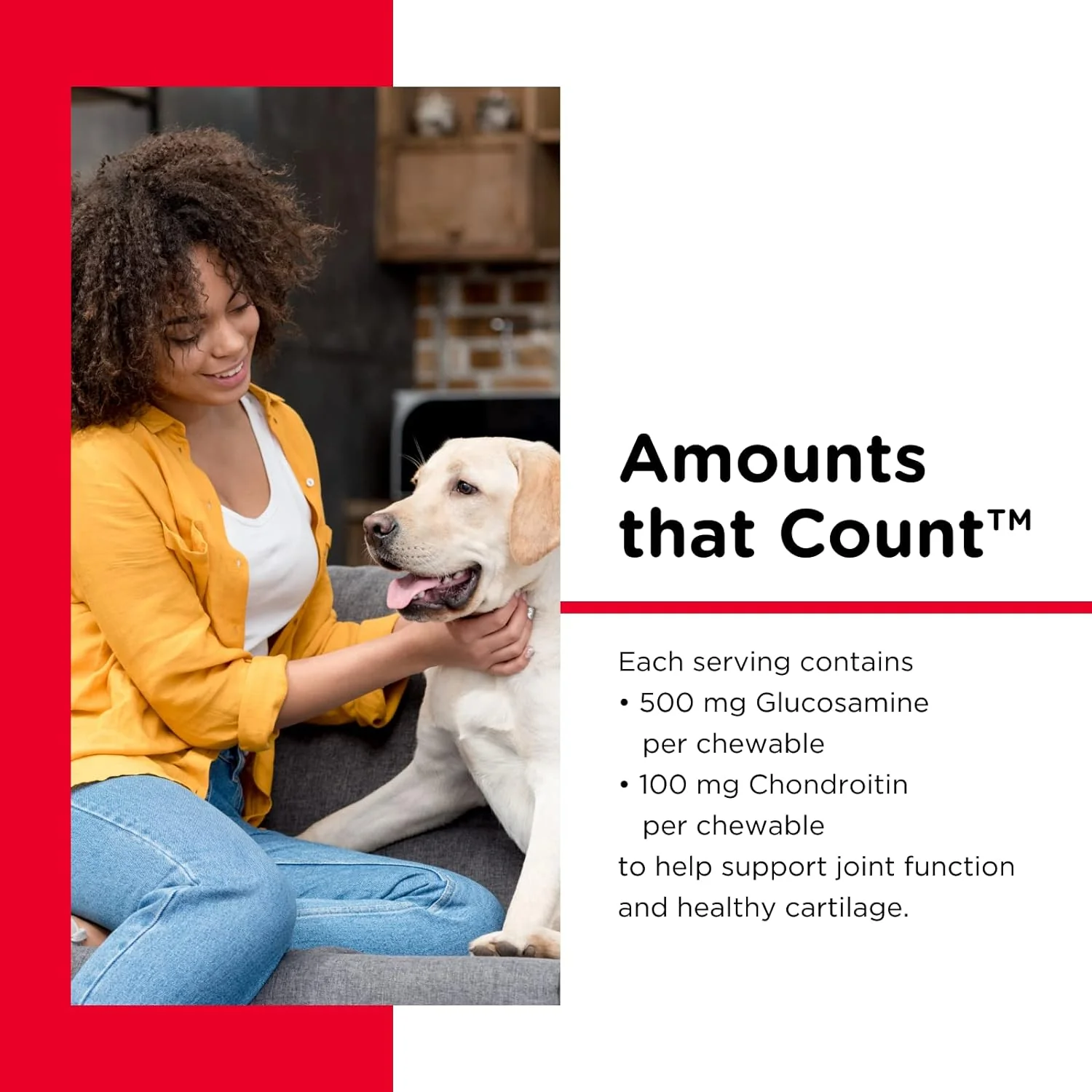 Nutri-Vet Hip & Joint Regular Strength Chewables for Dogs - Pet's Shop