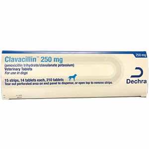 Rx Clavacillin (amoxicillin trihydrate/clavulanate potassium) Tablets for Dogs - Pet's Shop