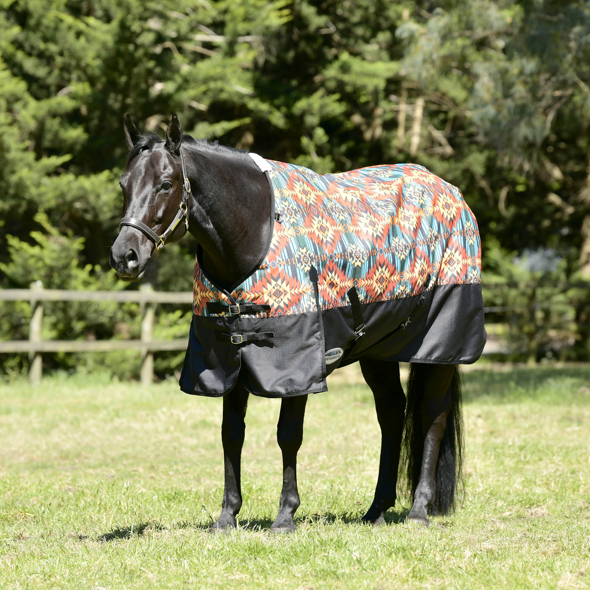 WeatherBeeta ComFITec Essential Standard Neck Turnout Blanket, Medium, Western Sunset Print - Pet's Shop