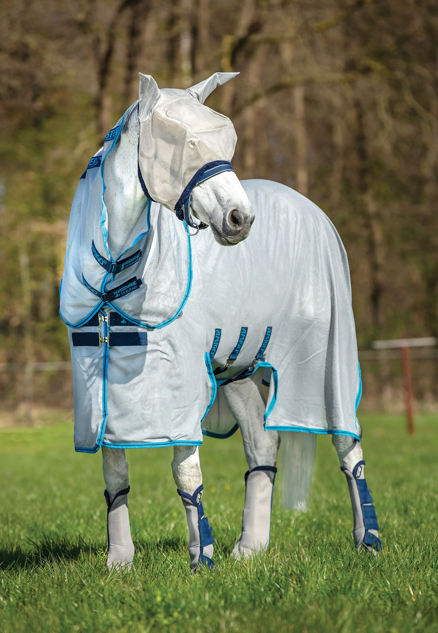 Amigo Bug Buster Vamoose with No Fly Zone - Pet's Shop