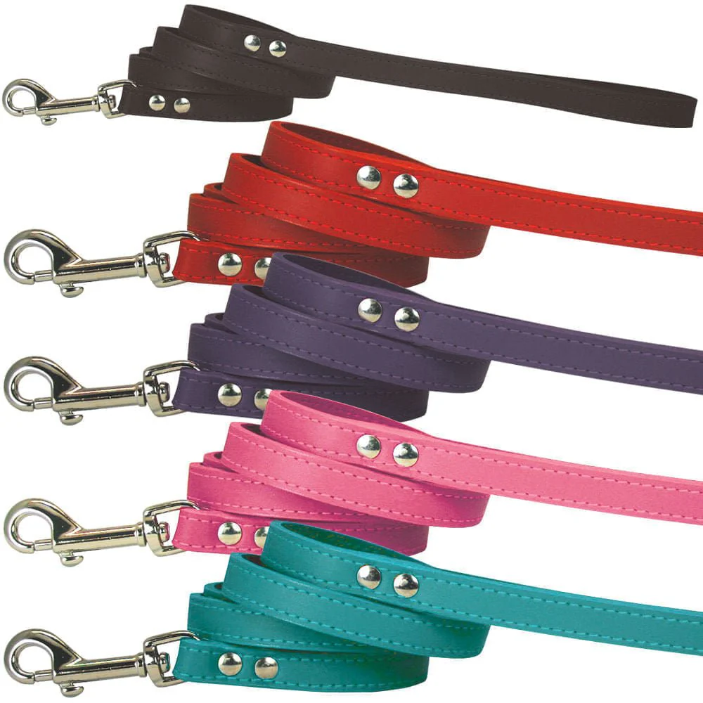 Spike & Stud Signature Leash, Pink, 1/2