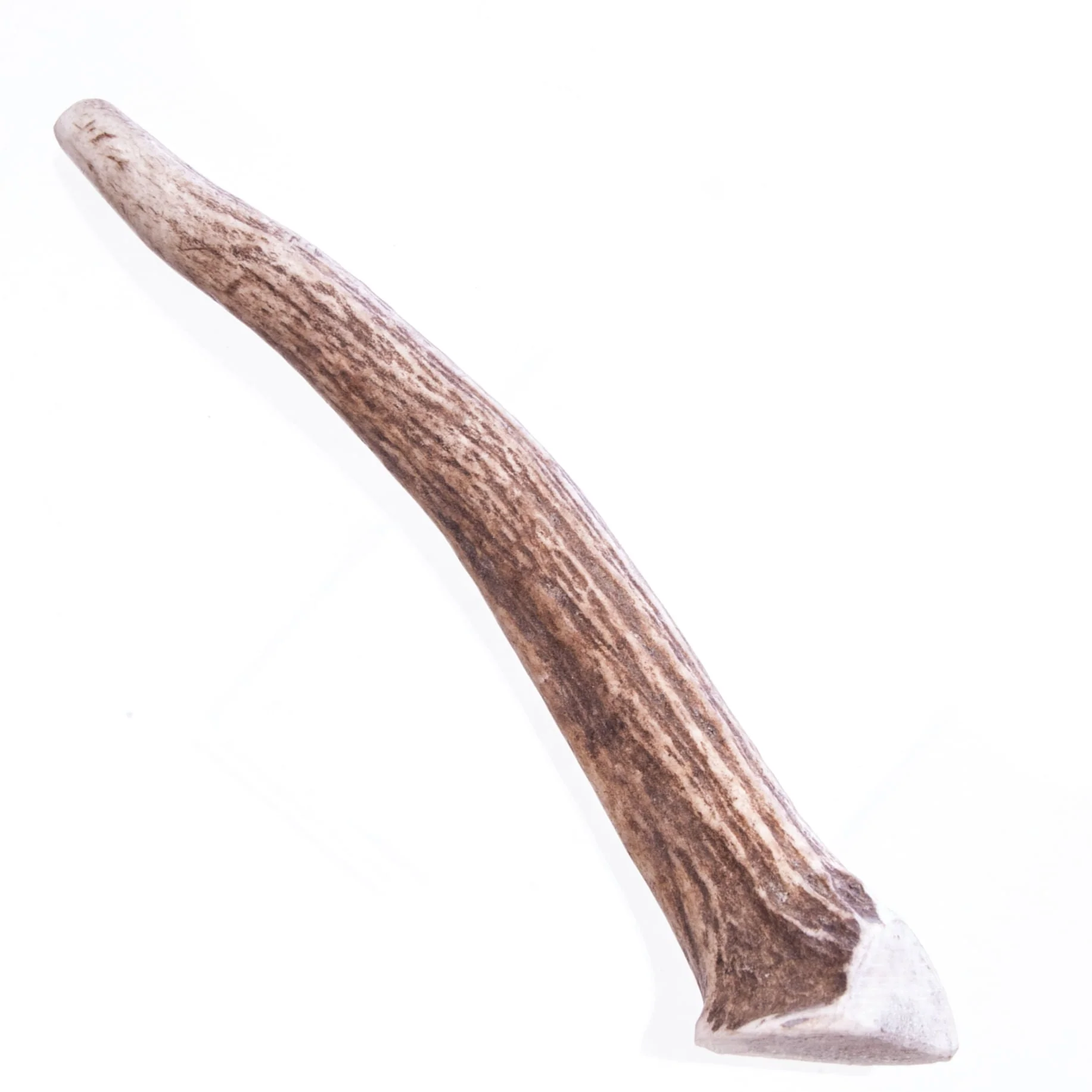 Big Sky Antler Chews, Singles - Pet's Shop