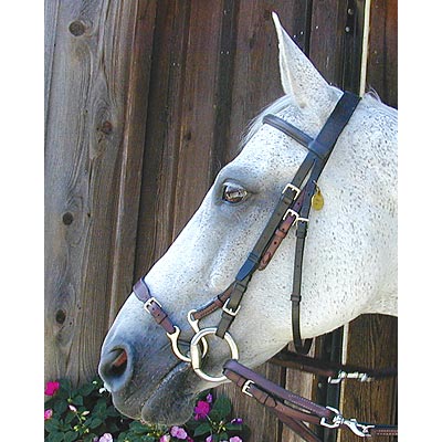 Kineton Noseband - Pet's Shop