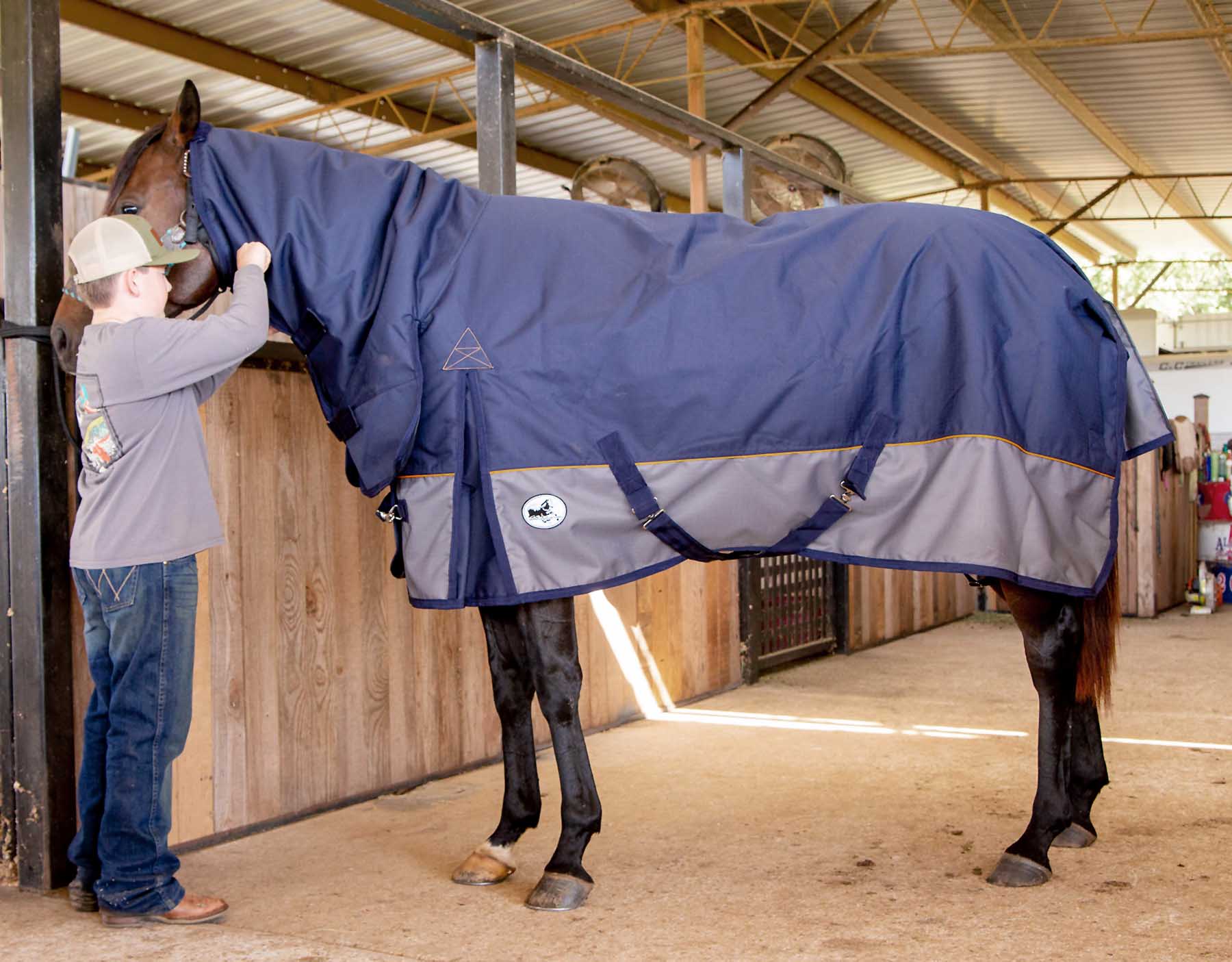 Economy Plus Combo Neck Medium Weight Horse Turnout Blanket - Pet's Shop