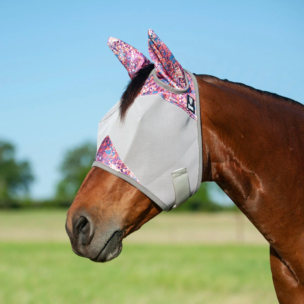 Crusader Fly Mask with Ears - Pet's Shop