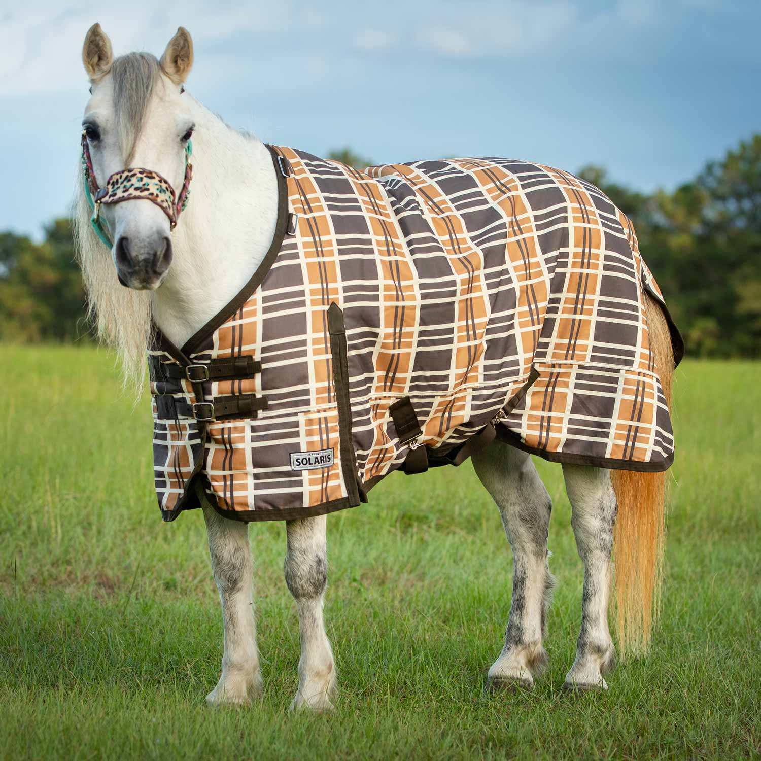 Pony Poppins Solaris Horse Turnout Sheet for Ponies, Brown & Cream Plaid - Pet's Shop