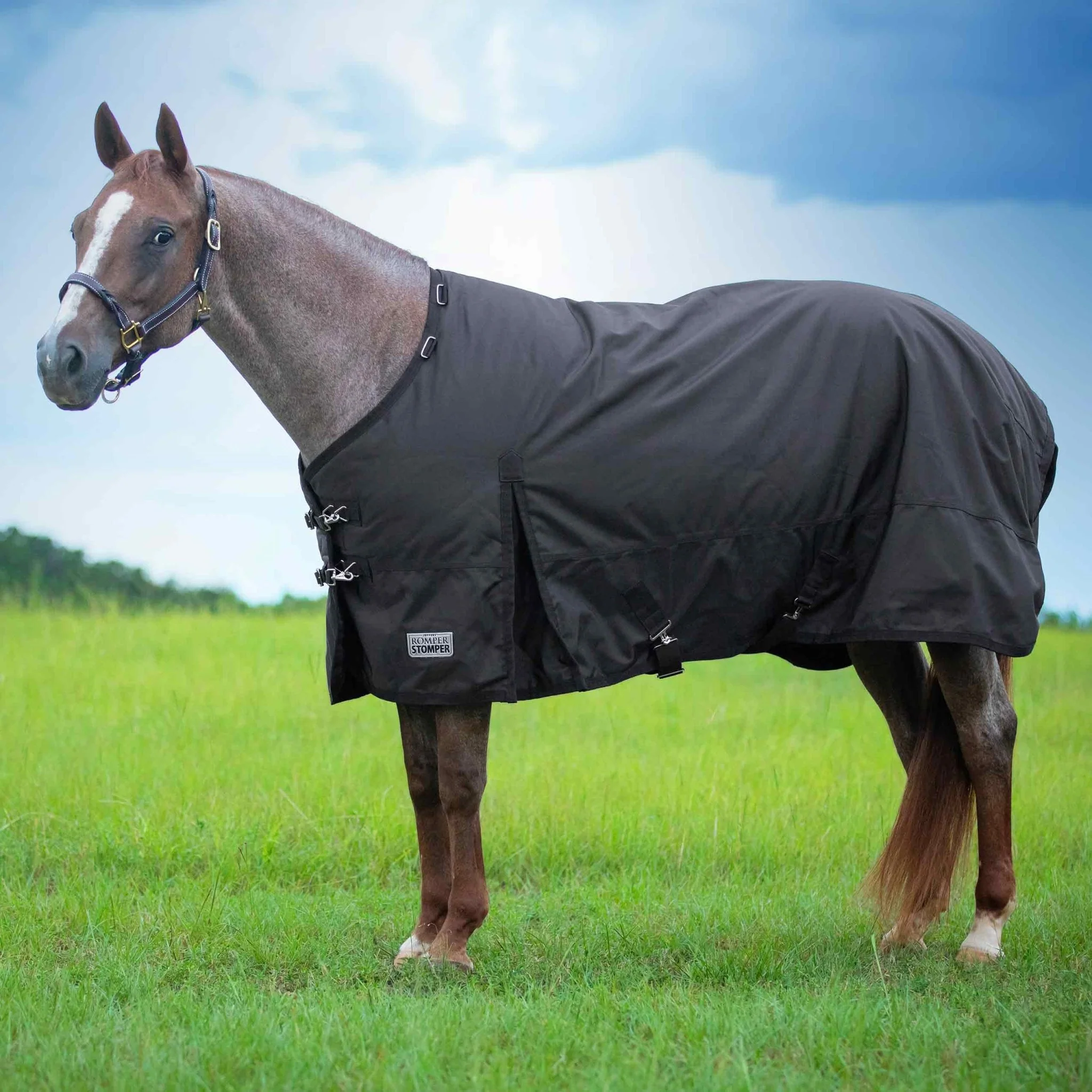 Romper Stomper Horse Turnout Blanket, 1680 Denier, 240g Fill, Brown - Pet's Shop
