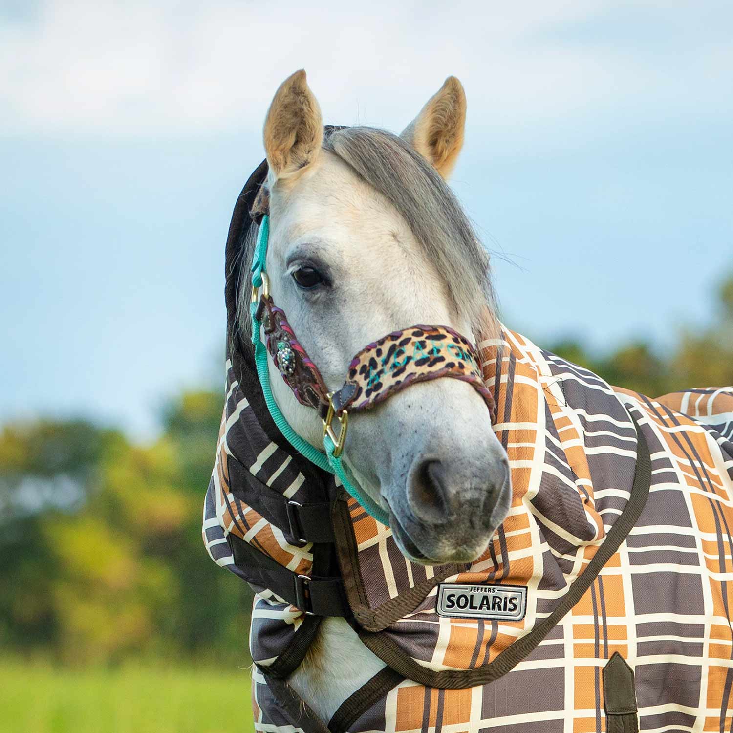 Pony Poppins Solaris Horse Neck Rug, 1200 Denier / 240g Fill, Brown & Cream Plaid - Pet's Shop