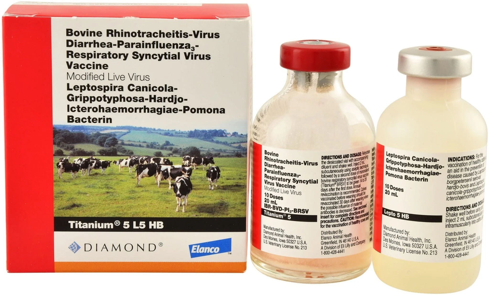 Titanium 5 L5 HB - Pet's Shop