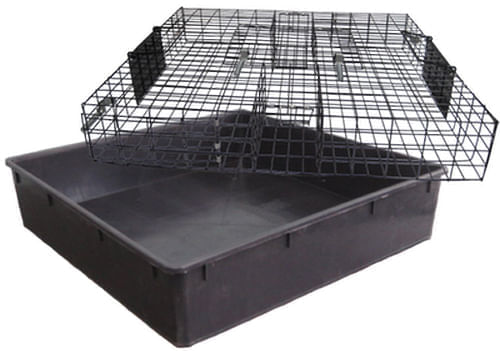 Squirrelinator - Pet's Shop