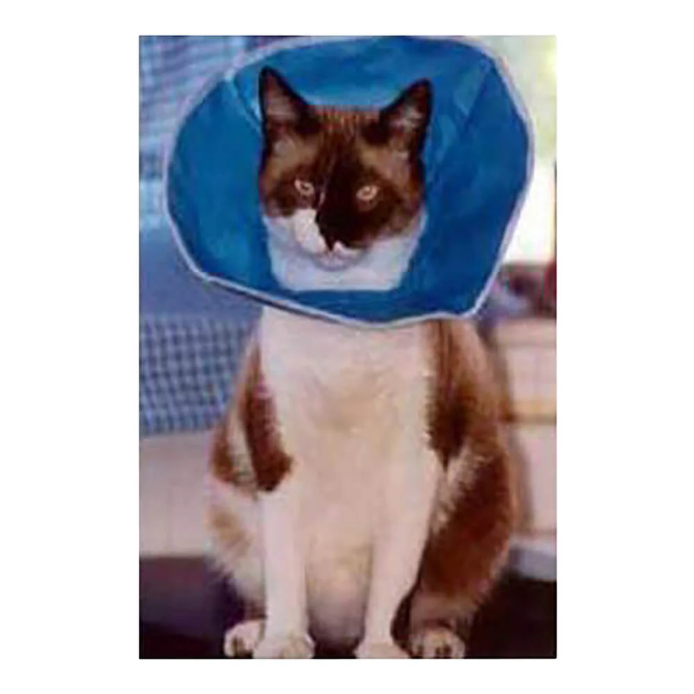 Vet Recovery Collar - Pet's Shop
