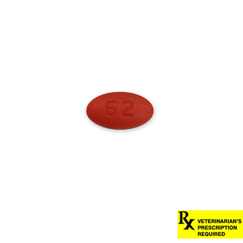 Rx Cefpodoxime Proxetil (Generic) Tablets for Dogs - Pet's Shop