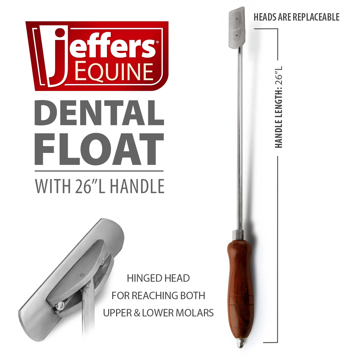 Horse Dental Float (& Replacement Blades) - Pet's Shop