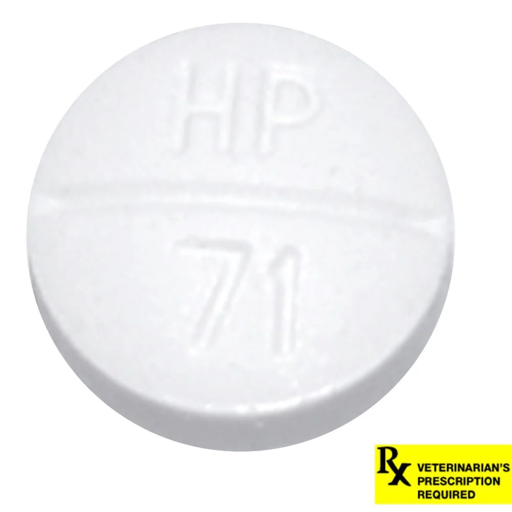 Rx Methimazole Tablets - Pet's Shop