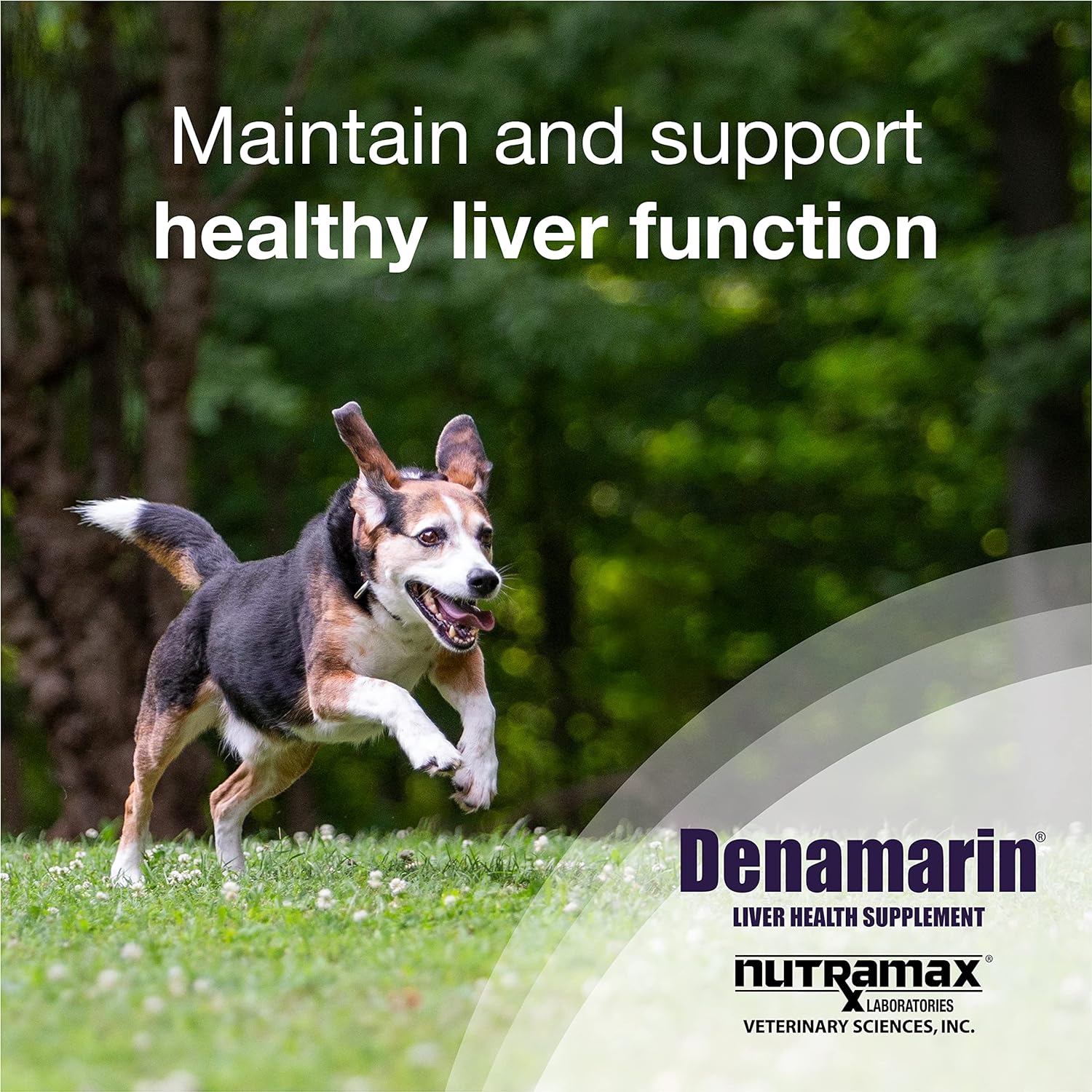 Nutramax Denamarin Liver Health, Stabilized Tablets - Pet's Shop