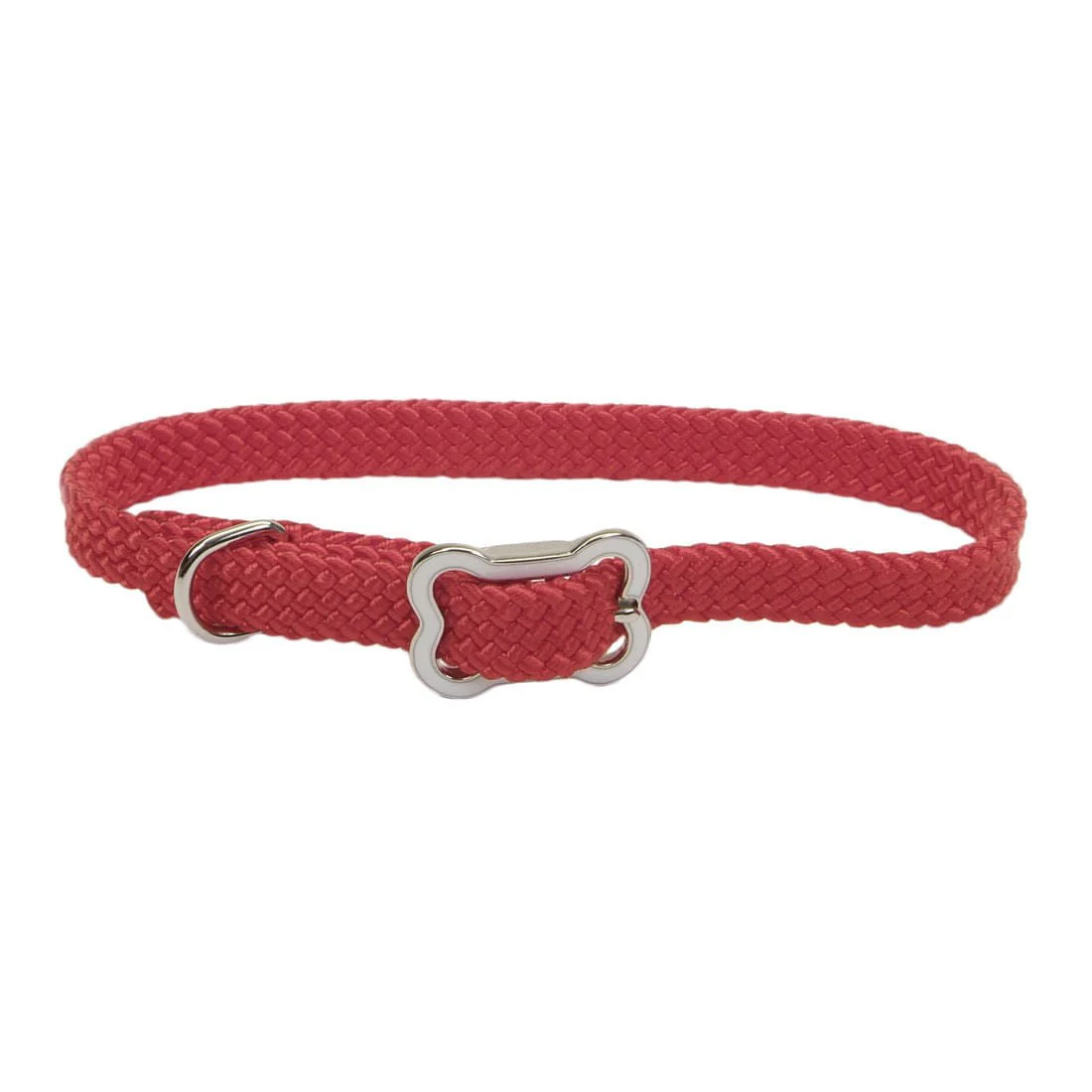 Sunburst Dog Collar with Bone Buckle - Pet's Shop