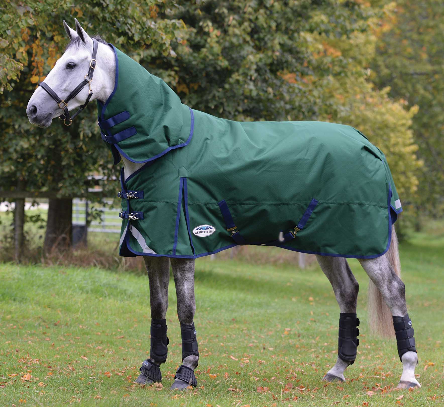 Weatherbeeta ComFITec Plus Dynamic II Detach-A-Neck Heavy Turnout Blanket for Horses - Pet's Shop
