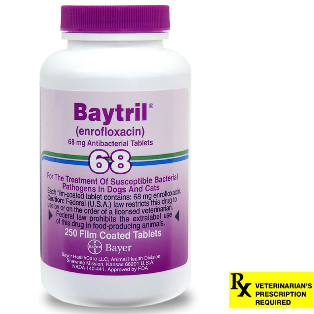 Rx Baytril for Dogs and Cats (Tablets) - Pet's Shop