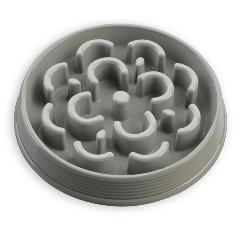 Slow Chow Feeder, Medium, 3 Cup - Pet's Shop