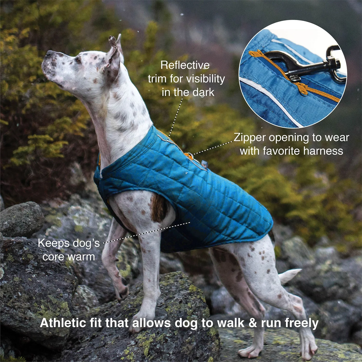 Kurgo Reversible Loft Jacket - Pet's Shop