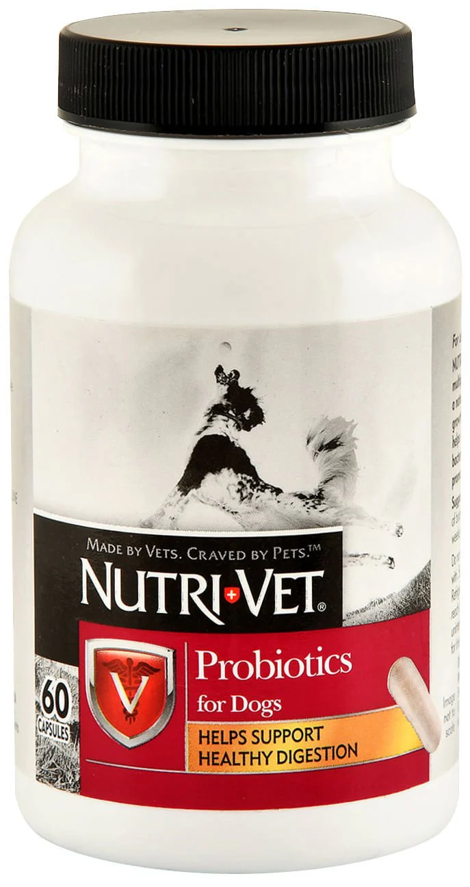 Nutri-Vet Probiotics for Dogs - Pet's Shop