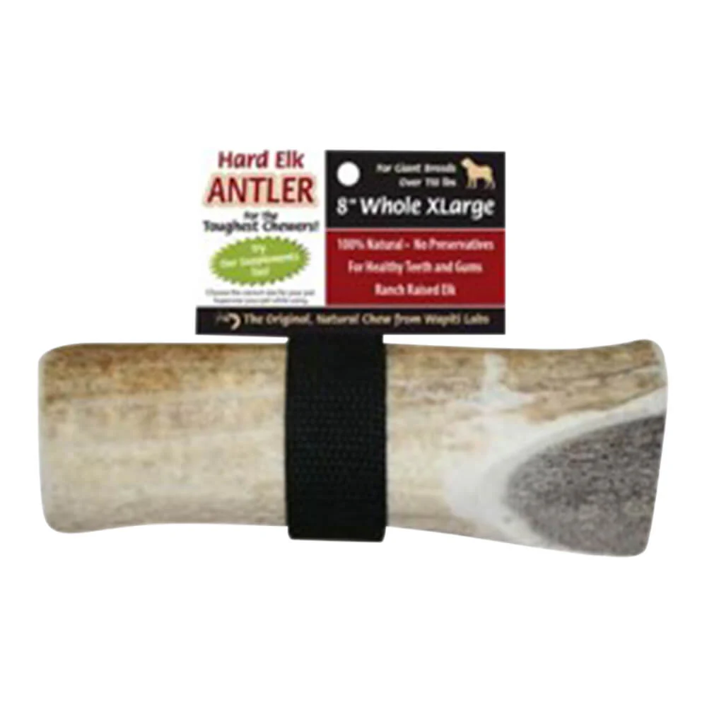 Wapiti Labs Elk Antler Dog Chews, 8