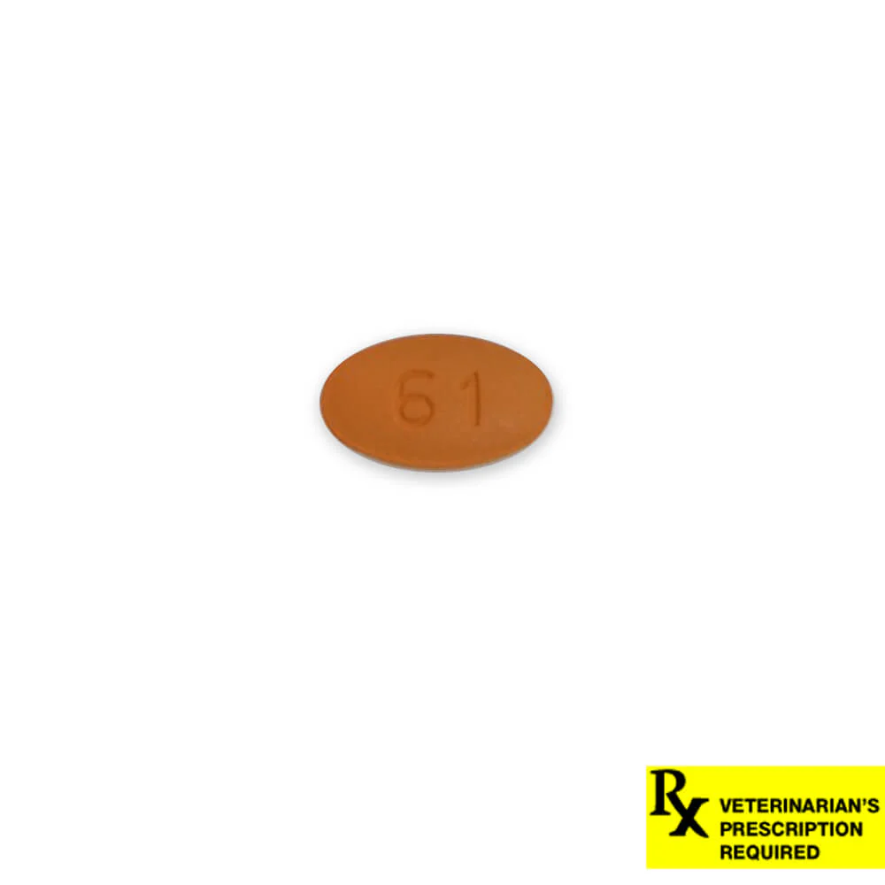 Rx Cefpodoxime Proxetil (Generic) Tablets for Dogs - Pet's Shop