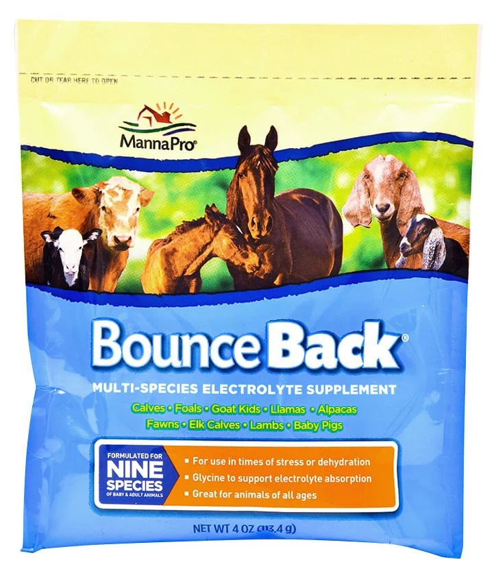 Bounce Back? Multi-Species Electrolyte Supplement - Pet's Shop