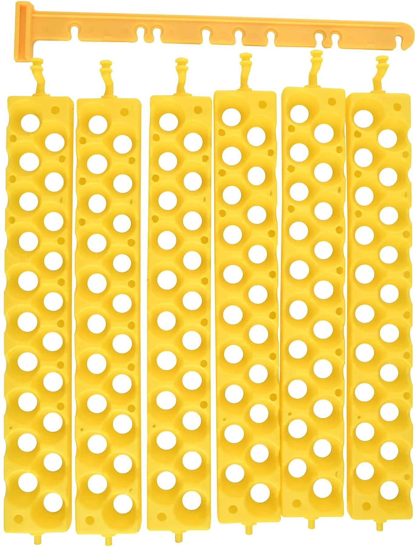 Quail Egg Racks, pkg of 6 - Pet's Shop