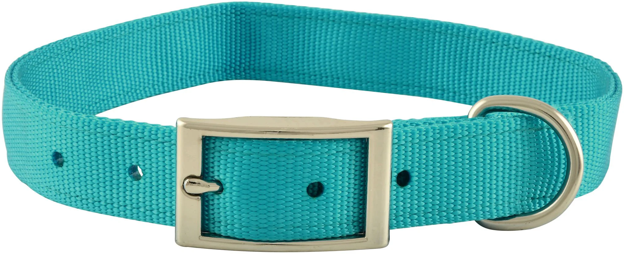Solid Web Nylon Dog Collar, 1
