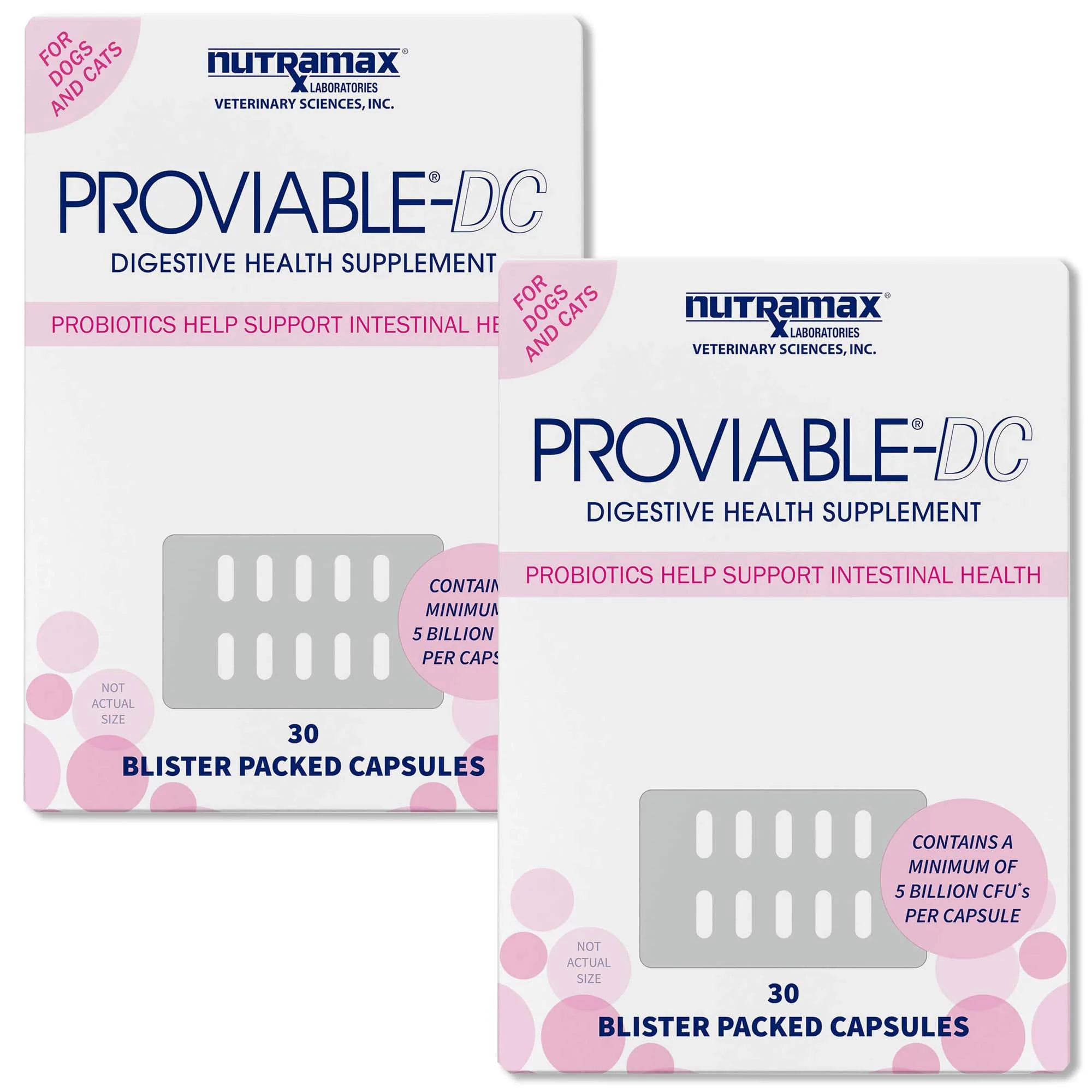 Nutramax Proviable-DC for Dogs & Cats - Pet's Shop