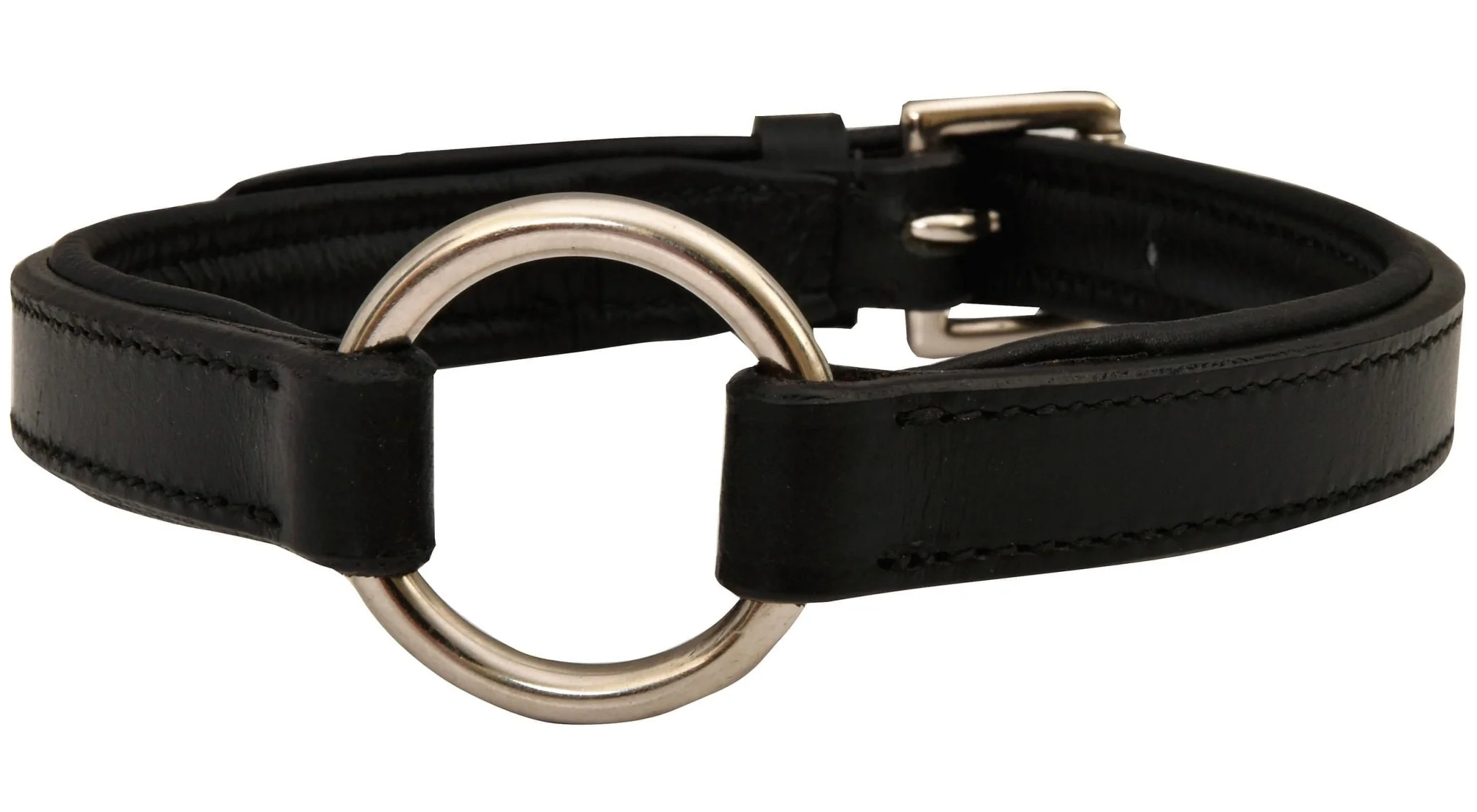 Premium Padded Black Leather Dog Collars - Pet's Shop