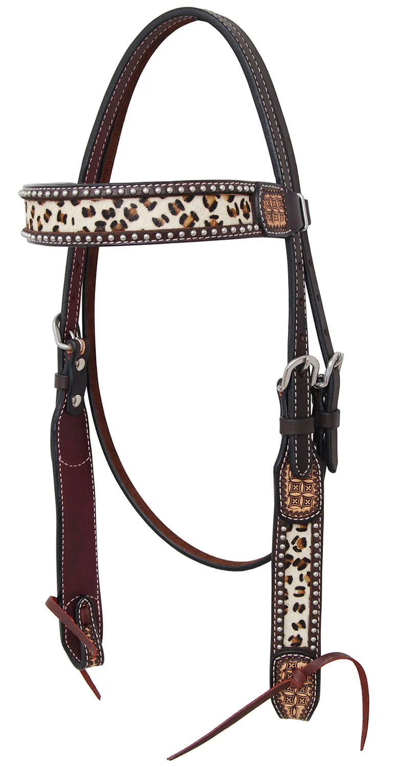 Rafter T Leopard Browband Headstall - Pet's Shop