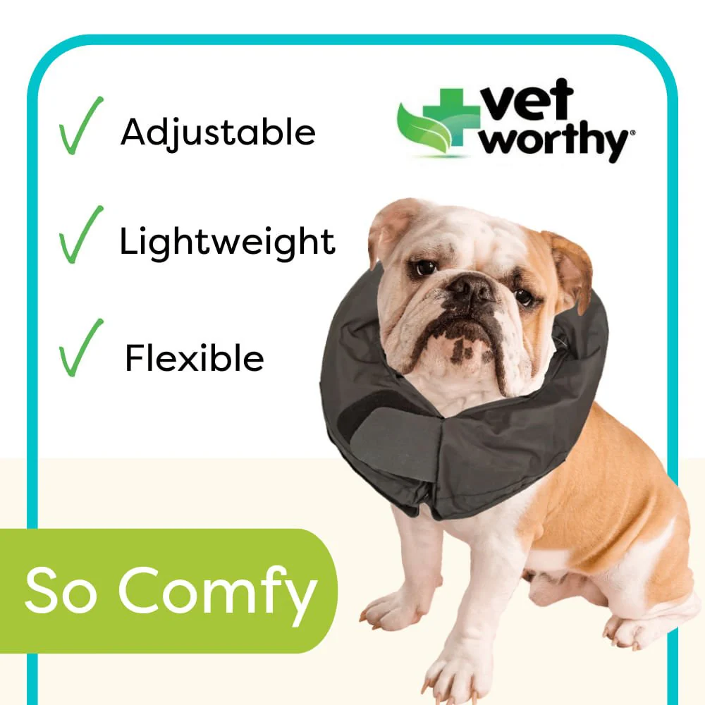 Vet Worthy Inflatable Collar, Black - Pet's Shop