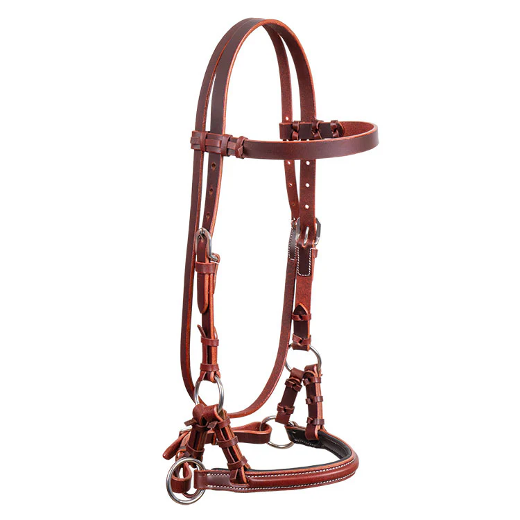 Latigo Padded Leather Sidepull - Pet's Shop