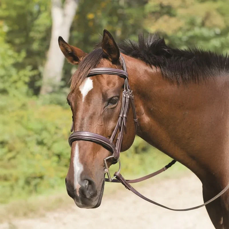 Avignon Wellington Bridle - Pet's Shop