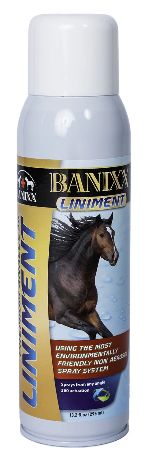 Banixx Premium Spray Liniment - Pet's Shop