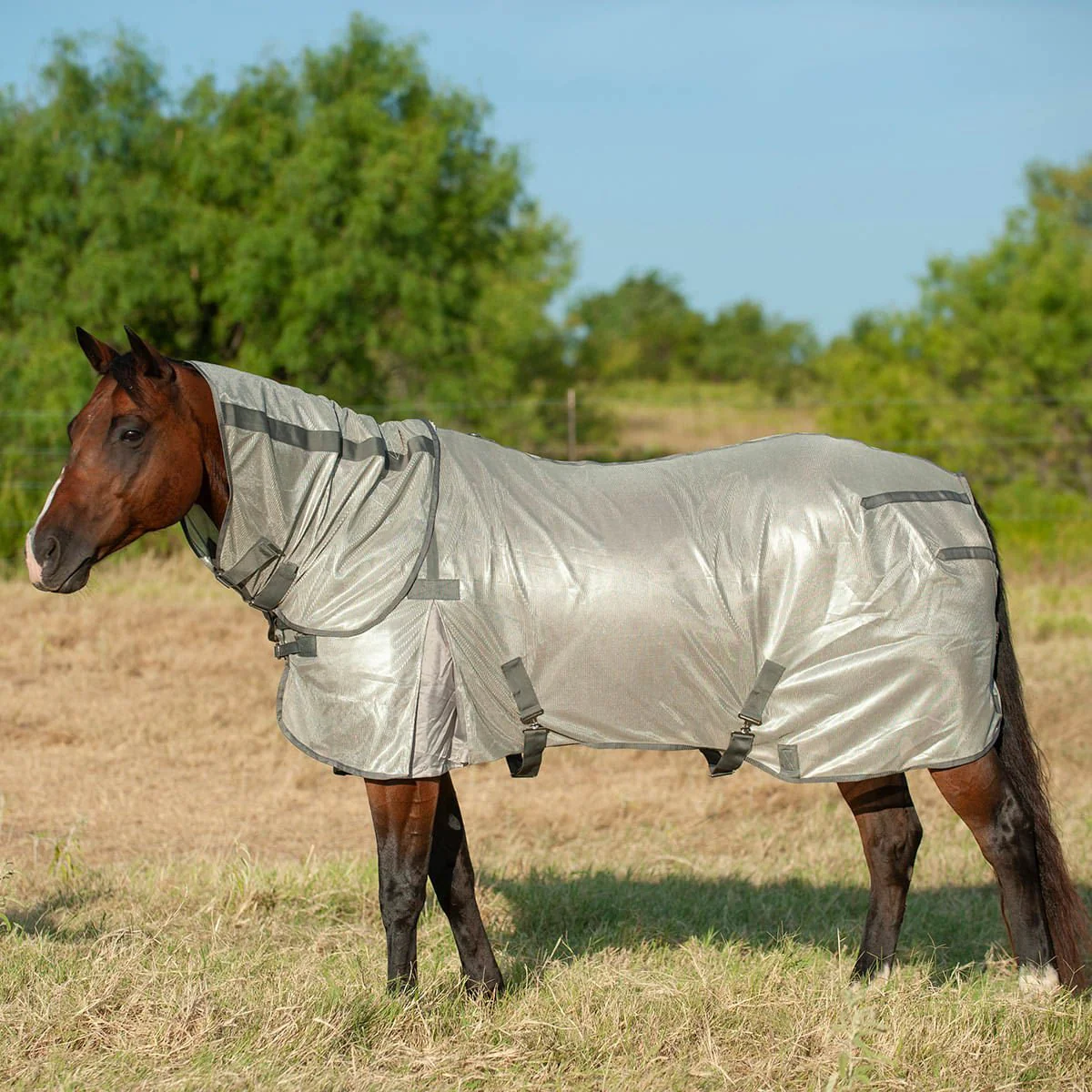 Cashel Economy Horse Fly Sheet with Neck Guard - Pet's Shop