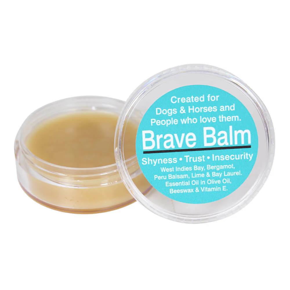 BlackWing Natural Remedies, Brave Balm, 2 oz - Pet's Shop
