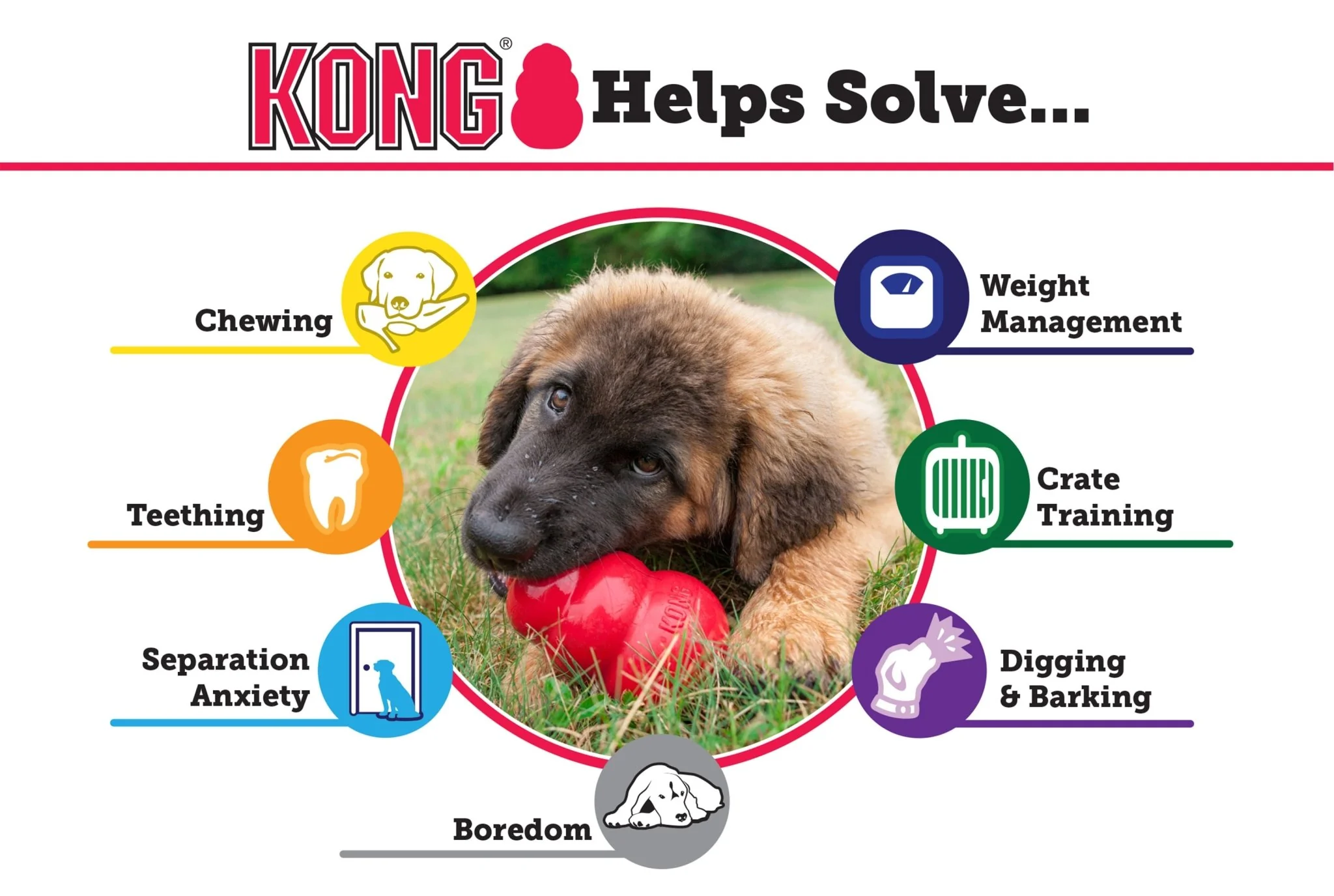 KONG Classic Dog Toy - Pet's Shop